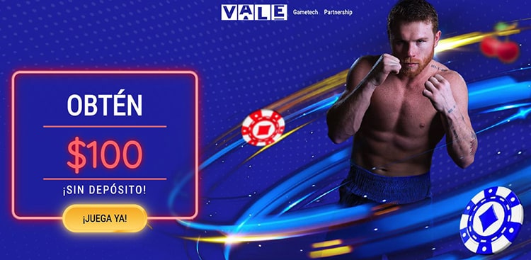 Casino Vale İncelemesi: Ödeme Yöntemleri